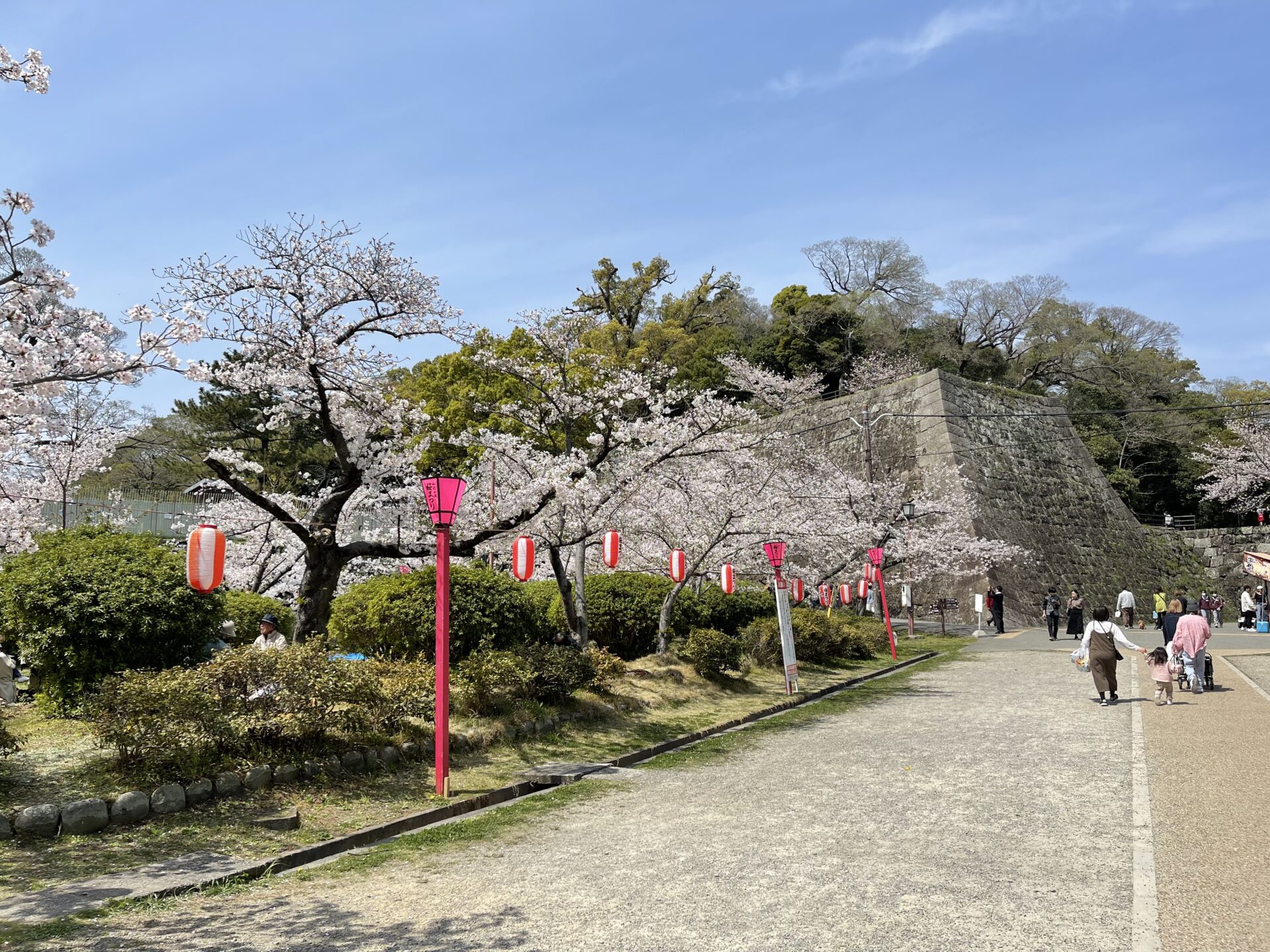 和歌山城“桜祭り“2023