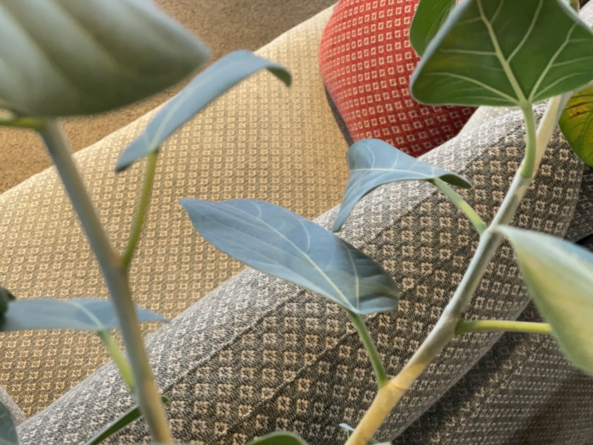 お知らせ／VCシリーズ在庫限りで終了