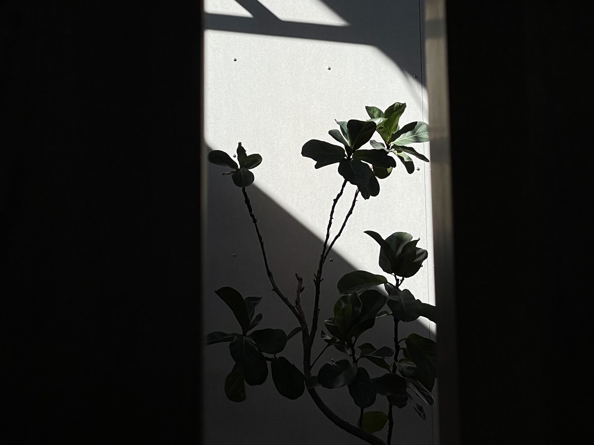 生活の中心を作る家具 A-DT03