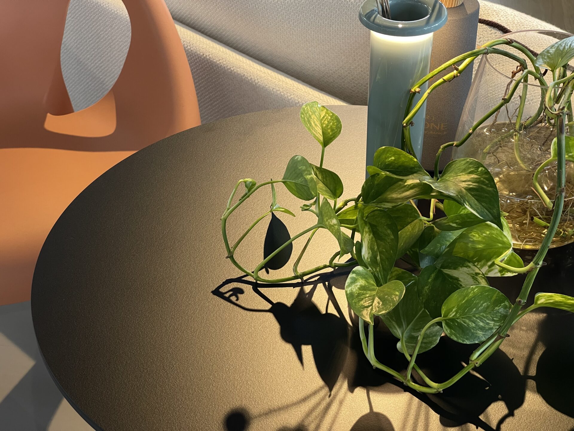 使い方で価値が変わるテーブル「ワイルドバンチ」