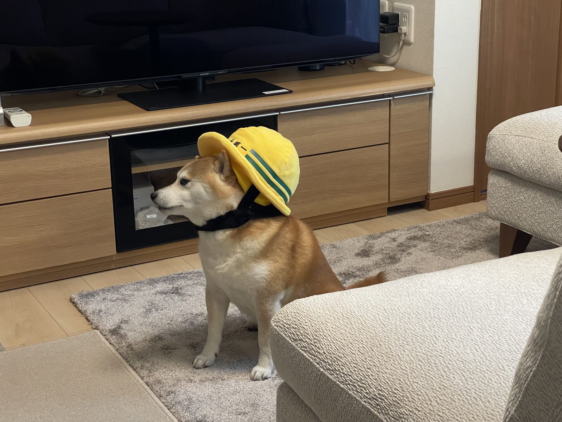 ソファメンテナンス・ソファ“GRVA“