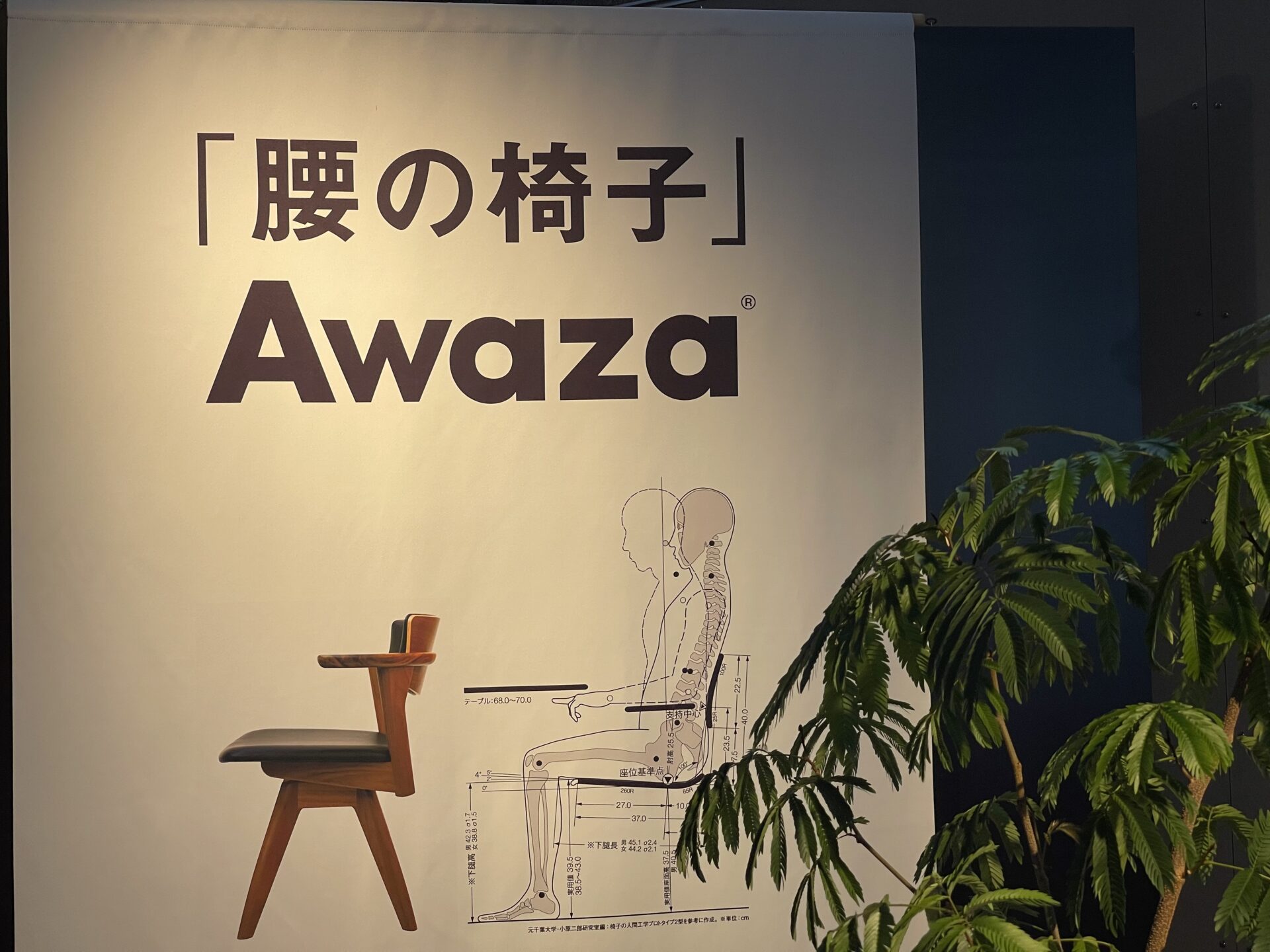 イベント情報・腰に寄り添う上質な家具