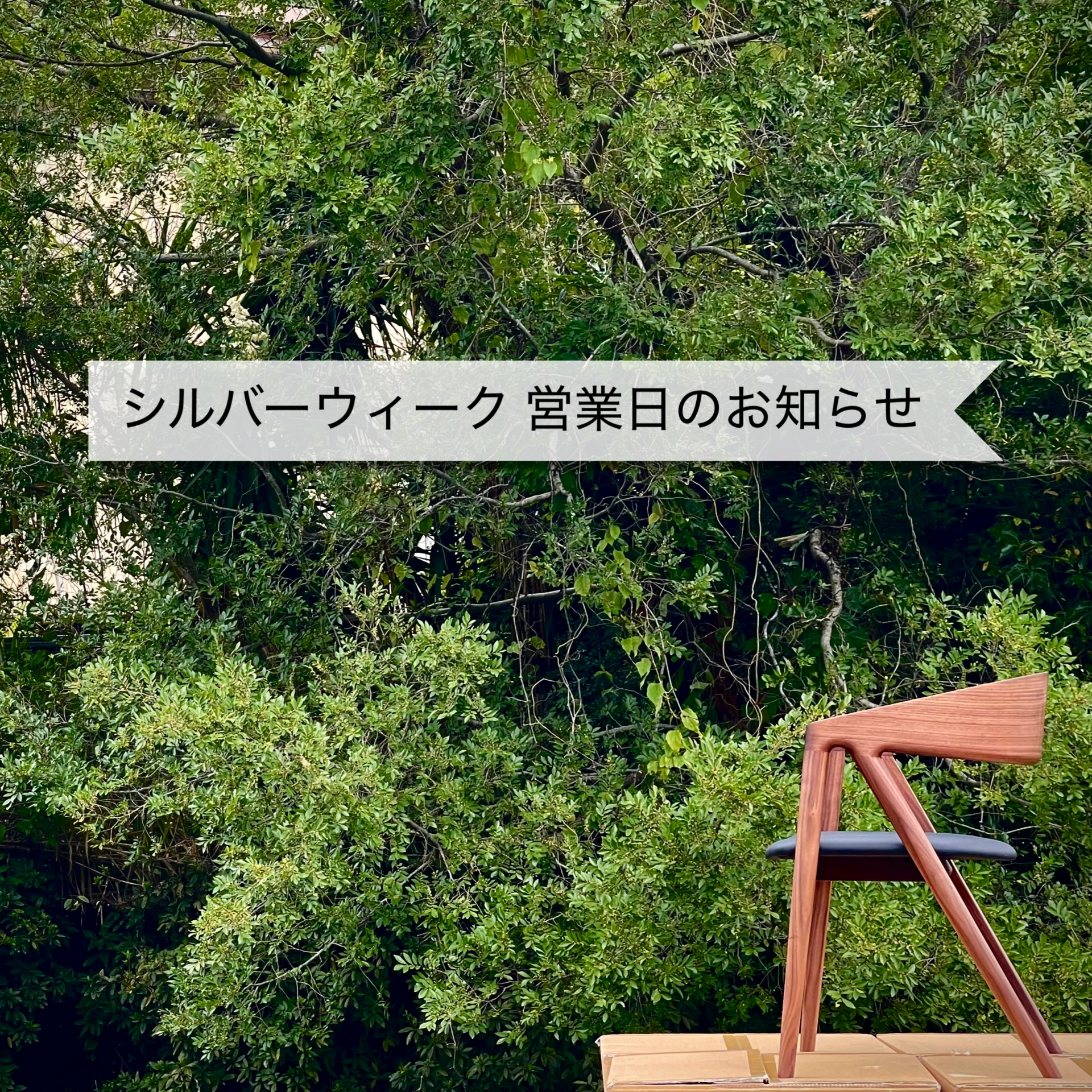 シルバーウィーク営業日のお知らせ